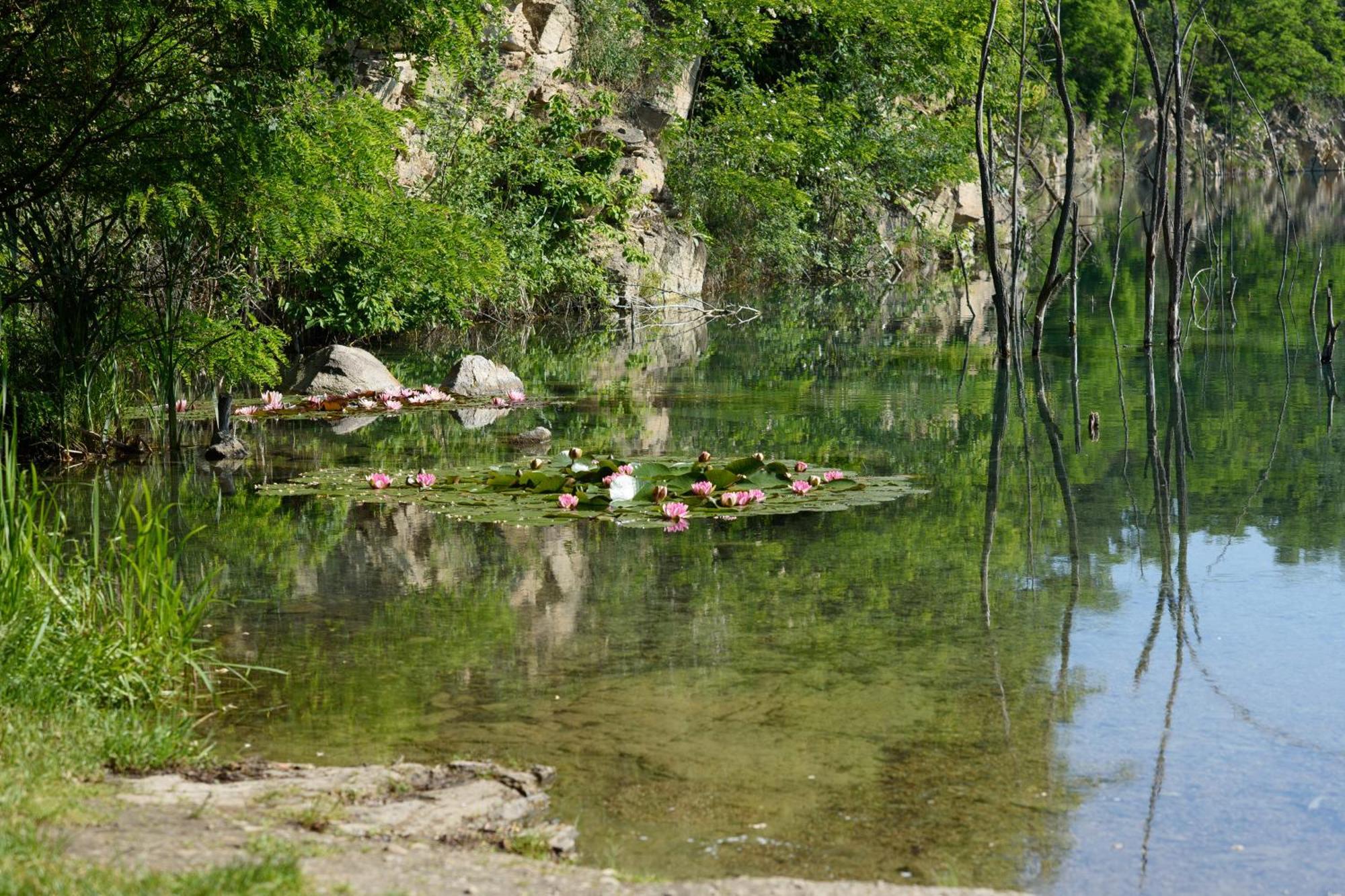 Apartman Mloci Udoli • Podyji Znojmo Exteriör bild